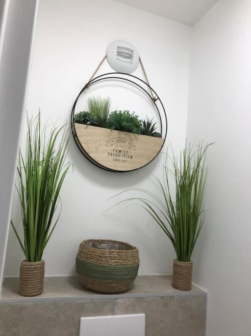 Studio « Oasis Provencale » Vallauris Eksteriør billede